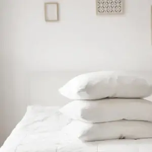 Chambre d’hôtes à vendre | Île aux Nattes